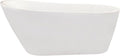 Shaia 67' x 32' Freestanding Soaking Acrylic Bathtub in White