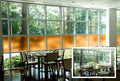 Window Film, Frosted Amber Static Cling, Color Privacy Film, Decorative Window Film, Frosted Colors (20' x 12ft)