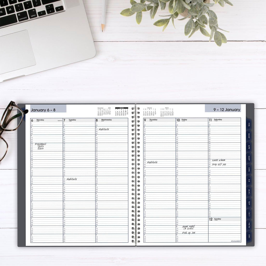 AT-A-GLANCE 2025 Appointment Book Planner, Weekly & Monthly, 8-1/2' x 11', Large, Quarter-Hourly, DayMinder, Gray (GC5200725) (Pack of 12)