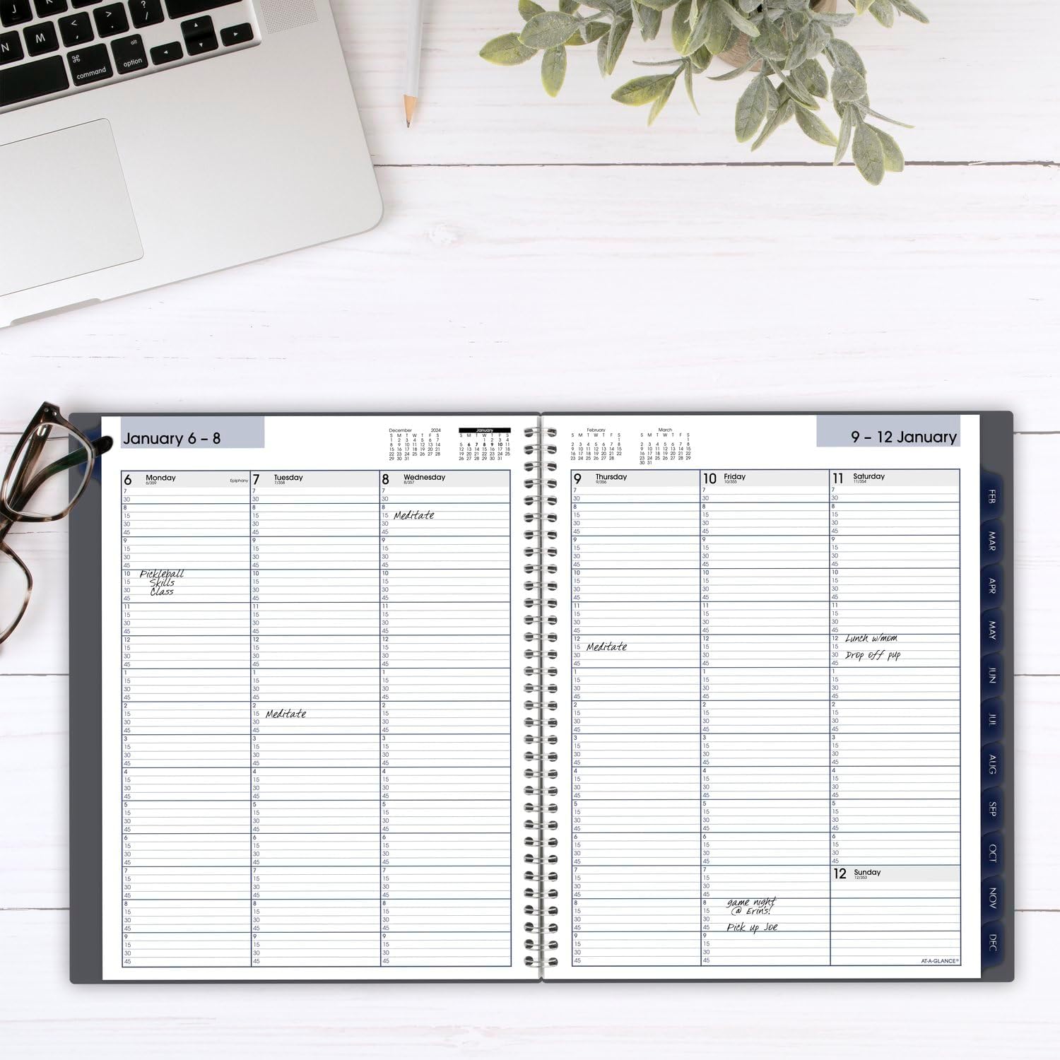 AT-A-GLANCE 2025 Appointment Book Planner, Weekly & Monthly, 8-1/2' x 11', Large, Quarter-Hourly, DayMinder, Gray (GC5200725) (Pack of 12)