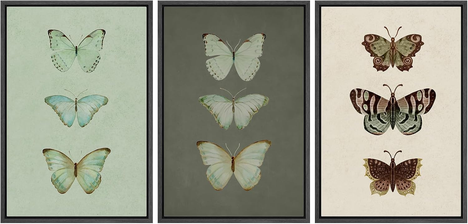 wall26 Framed Canvas Print Wall Art Set Vintage Butterfly Collection Botanical Illustrations Modern Art Decorative Floral Botanical Minimal for Bedroom - 24'x36'x3 Black