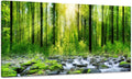Canvas Wall Art for Bedroom Green Trees Landscape Sunshine Over Forest Photograph Printed Living Room Wall Decoration Large Mural Wall Art Print Artwork Natural Outdoor Pictures Size:30x58inch