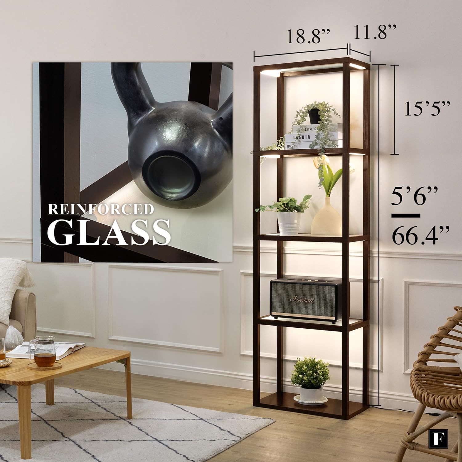 FENLO LED Display Shelf with Lights – Curio Cabinet for Collectibles with Dimmable Lighting, App & Remote Control – 66' Glass Shelf Floor Lamp with Adjustable Color Temps Fantasy Plus Pro