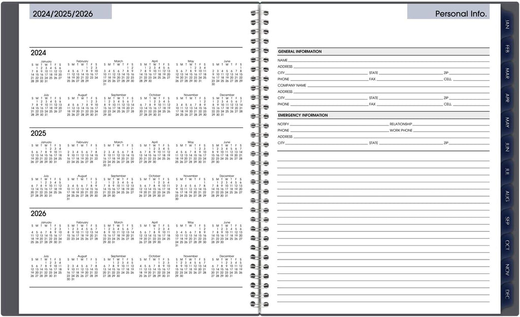 AT-A-GLANCE 2025 Appointment Book Planner, Weekly & Monthly, 8-1/2' x 11', Large, Quarter-Hourly, DayMinder, Gray (GC5200725) (Pack of 12)