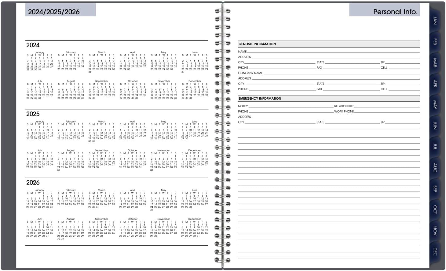 AT-A-GLANCE 2025 Appointment Book Planner, Weekly & Monthly, 8-1/2' x 11', Large, Quarter-Hourly, DayMinder, Gray (GC5200725) (Pack of 12)