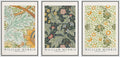 wall26 Framed Canvas Print Wall Art Set William Morris Flower Tapestry Posters Nature Wilderness Illustrations Modern Art Decorative Floral Botanical Minimal Calm for Bedroom - 24'x36'x3 White
