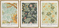 wall26 Framed Canvas Print Wall Art Set William Morris Flower Tapestry Posters Nature Wilderness Illustrations Modern Art Decorative Floral Botanical Minimal Calm for Bedroom - 16'x24'x3 Natural